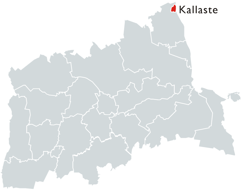 File:Tartumaa_Kallaste linn.png